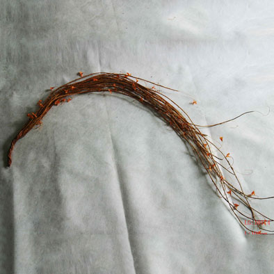 人造花、果-秋天