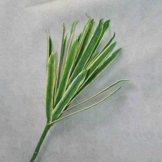 人造花、果-春天